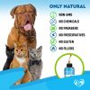 Kennel Cough Treatment Natural Infection Medicine for Dogs Cats Respiratory Cold Cough Relief Collapse Trachea and Cat Asthma Support