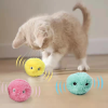 Cat Fluffy Toys Interactive Ball Catnip Cat Training Toy; Pet Playing Ball Squeaky Torch Sound Toy