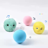 Cat Fluffy Toys Interactive Ball Catnip Cat Training Toy; Pet Playing Ball Squeaky Torch Sound Toy