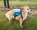 Pet Life 'Waggler Hobbler' Large-Pocketed Compartmental Animated Dog Harness Backpack