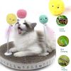 Cat Fluffy Toys Interactive Ball Catnip Cat Training Toy; Pet Playing Ball Squeaky Torch Sound Toy